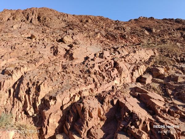 מתמנע לבאר אורה