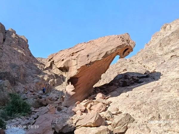 מתמנע לבאר אורה