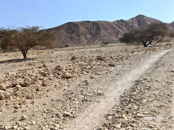 מתמנע לבאר אורה