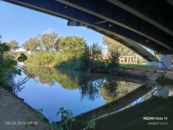 גשר על הירקון