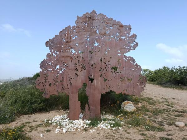 מצפה אלון ברחובות