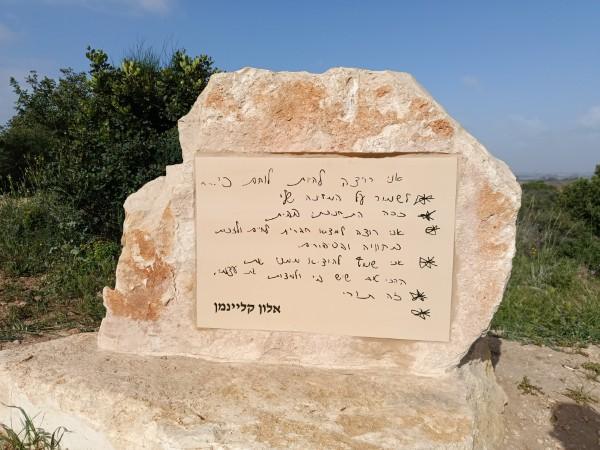 מצפה אלון ברחובות