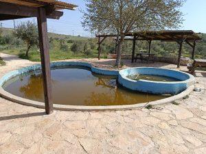 מעיין אירוס השומרון