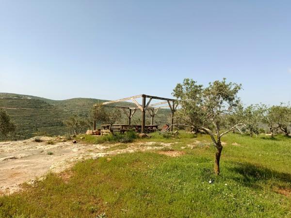 מעיין אירוס השומרון