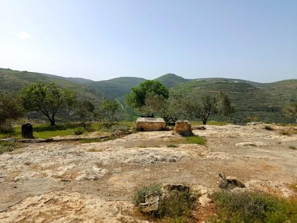 מעיין אירוס השומרון