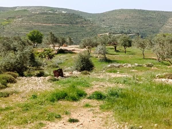 מעיין אירוס השומרון