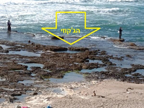 הג'קוזי של חיפה ותל שקמונה