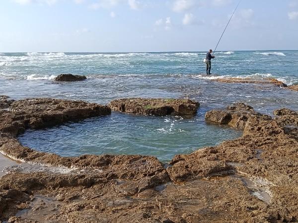הג'קוזי של חיפה ותל שקמונה