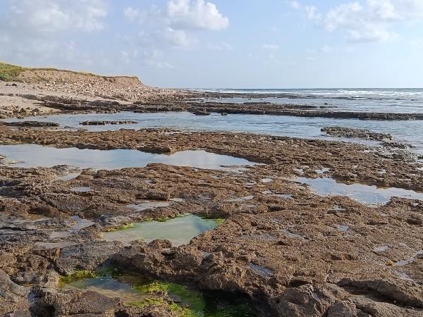 הג'קוזי של חיפה ותל שקמונה