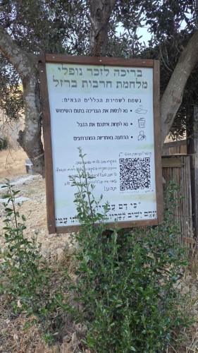 מעיין סנסנה
