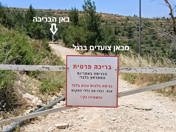 מעיין שמעון