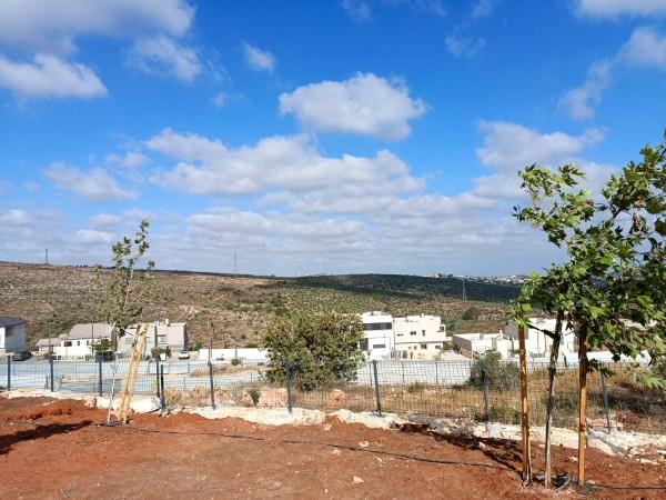 הנוף פארק ידידיה