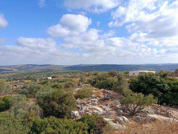 מצפה רבבה