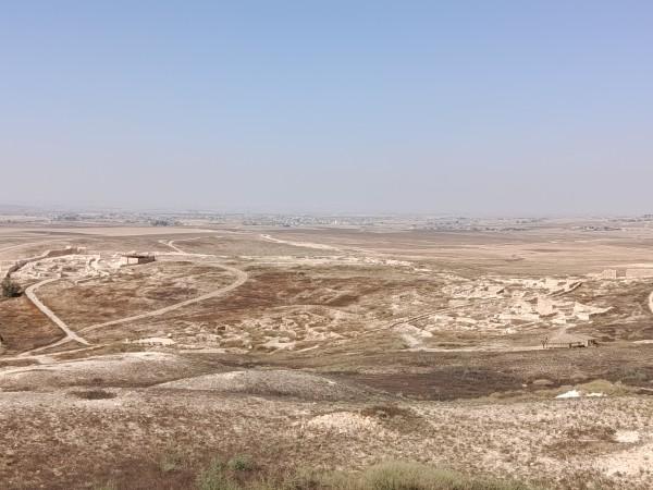 תל ערד העיר הכנענית