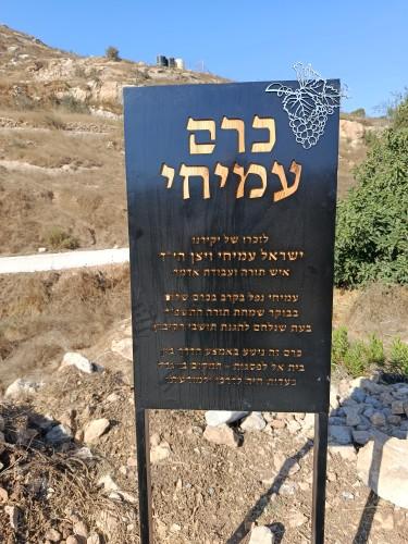 עין תות בית אל כרם עמיחי
