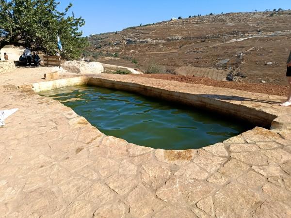 עין תות בית אל