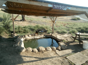 עין לידור