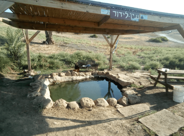 עין לידור