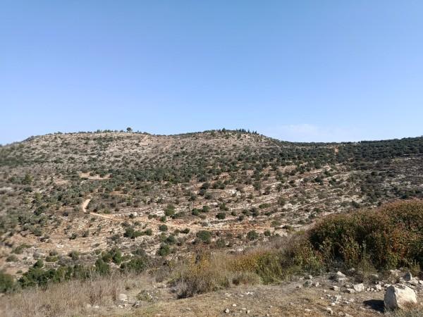 מעיין תיבנה