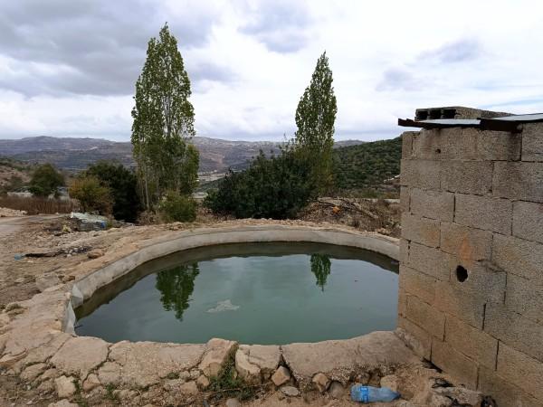 נחל הזיתים