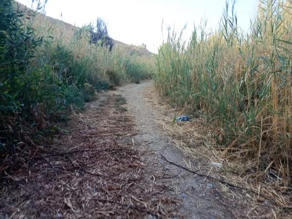 שביל סובב כנרת: צומת כורסי לירדנית